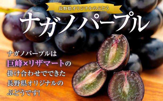 長野県箕輪町のふるさと納税 ぶどう ナガノパープル 2kg 葡萄 ブドウ 長野パープル 果物 くだもの フルーツ 旬の果物 旬のフルーツ 信州 長野 長野県