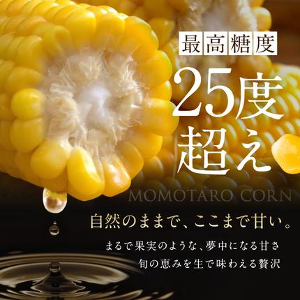 岡山県瀬戸内市のふるさと納税 ［2026年先行予約］牛窓産とうもろこし まるでフルーツ！最高糖度25度超え 生で甘い、茹でて美味い！ 黄色 とうもろこし 「桃太郎コーン」約4kg（8～12本入り） 野菜