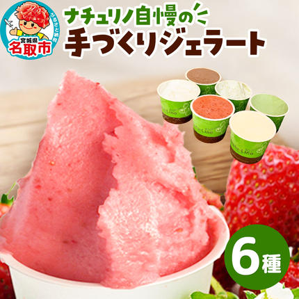 ナチュリノ自慢の手づくりジェラート 6種 