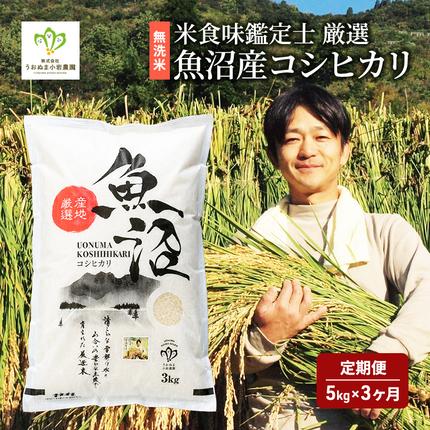 無洗米 定期便 3ヶ月 コシヒカリ 5kg