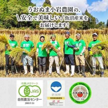 新潟県魚沼市のふるさと納税 無洗米 定期便 6ヶ月 コシヒカリ 5kg 米 白米 お米 魚沼産コシヒカリ 米食味鑑定士 新潟米 新潟 魚沼市 定期 6回