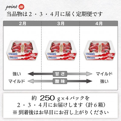 福岡県福津市のふるさと納税 【2027年2～4月発送】博多あまおう4パック3回定期便　約1kg×3回[H5342]