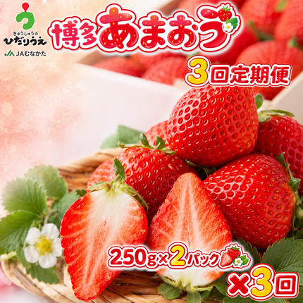 【2027年2～4月発送】博多あまおう2パ