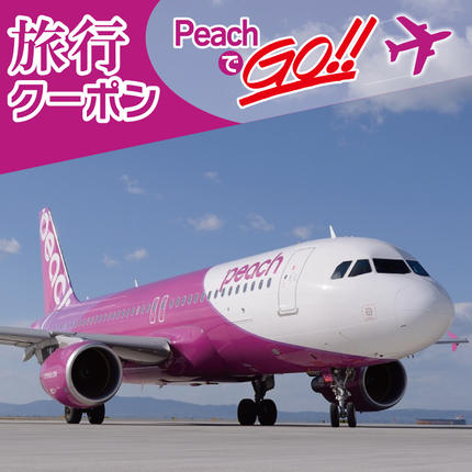 大阪府泉佐野市のふるさと納税 PeachでGo！！泉佐野市宿泊 旅行クーポン（30,000円分）【宿泊 旅行 ホテル トラベル】 100F019