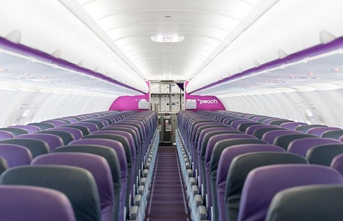 大阪府泉佐野市のふるさと納税 PeachでGo！！泉佐野市宿泊 旅行クーポン（30,000円分）【宿泊 旅行 ホテル トラベル】 100F019