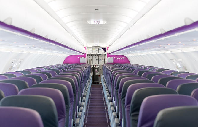 大阪府泉佐野市のふるさと納税 PeachでGo！！泉佐野市宿泊 旅行クーポン（90,000円分）【宿泊 旅行 ホテル トラベル】 099H387