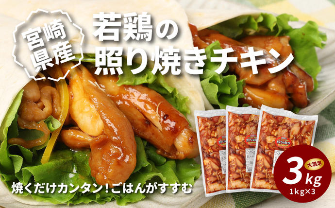 宮崎県木城町のふるさと納税 宮崎県産若鶏の照り焼きチキン K16_0059_2