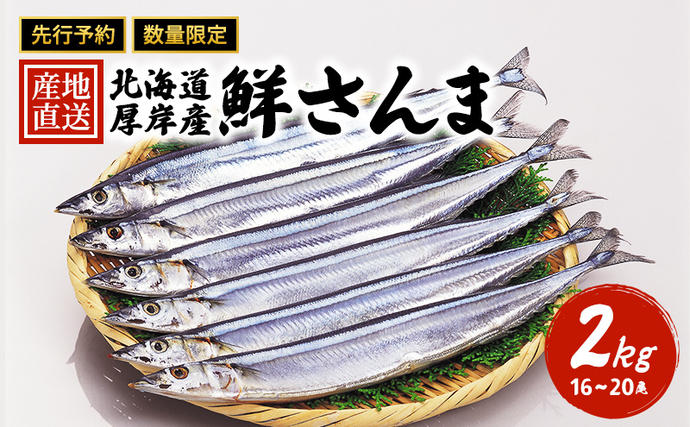 先行予約 産地直送 北海道 厚岸産 刺身用