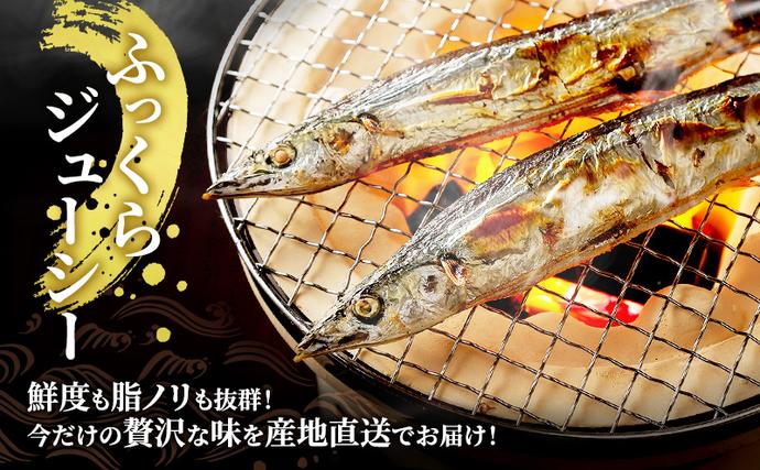 北海道厚岸町のふるさと納税 先行予約 産地直送 北海道 厚岸産 刺身用 鮮さんま 2kg（16～20尾） サンマ 秋刀魚 さんま 鮮魚 魚介類 海産 生さんま