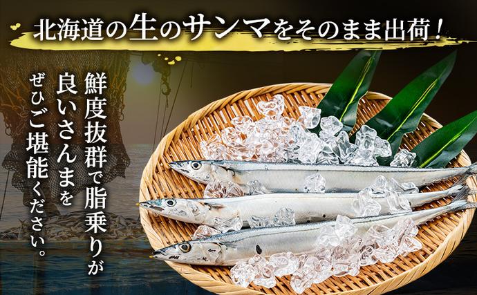 北海道厚岸町のふるさと納税 先行予約 産地直送 北海道 厚岸産 刺身用 鮮さんま 2kg（16～20尾） サンマ 秋刀魚 さんま 鮮魚 魚介類 海産 生さんま