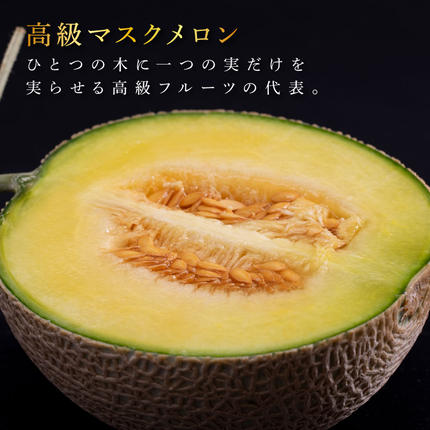 高知県芸西村のふるさと納税 SKS023　緊急支援　高知県産 高級マスクメロン（ご贈答・ギフト用）1玉入〈南国市共通返礼品〉【発送期間：4月～12月（9カ月）】【1月～3月は気候温度不安定の為出荷不可となります。】
