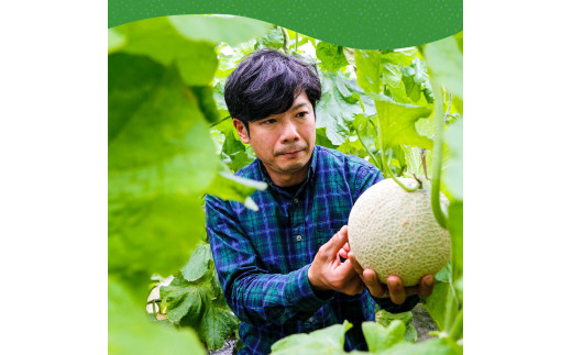 高知県芸西村のふるさと納税 SKS023　緊急支援　高知県産 高級マスクメロン（ご贈答・ギフト用）1玉入〈南国市共通返礼品〉【発送期間：4月～12月（9カ月）】【1月～3月は気候温度不安定の為出荷不可となります。】