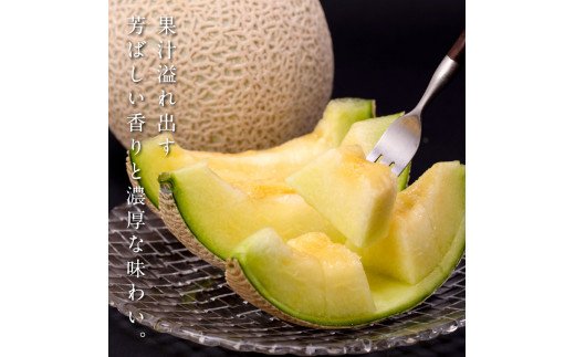 高知県芸西村のふるさと納税 SKS023　緊急支援　高知県産 高級マスクメロン（ご贈答・ギフト用）1玉入〈南国市共通返礼品〉【発送期間：4月～12月（9カ月）】【1月～3月は気候温度不安定の為出荷不可となります。】