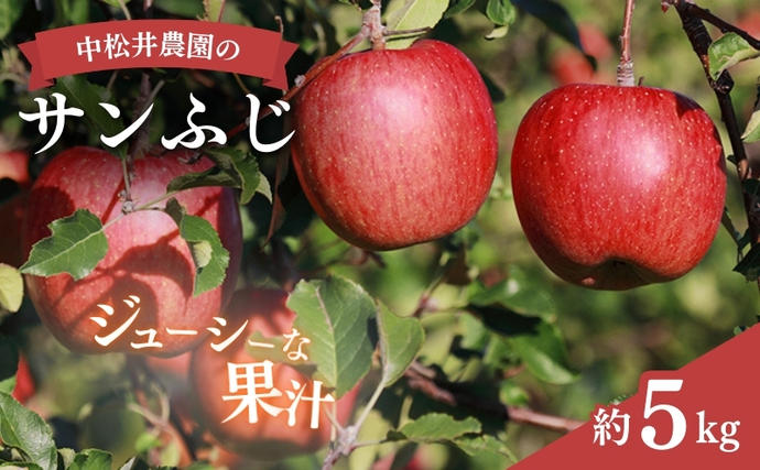 2026年産 中松井農園のサンふじ 約5kg