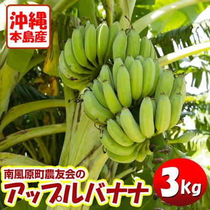 【希少】沖縄本島産 南風原町農友会の「アッ