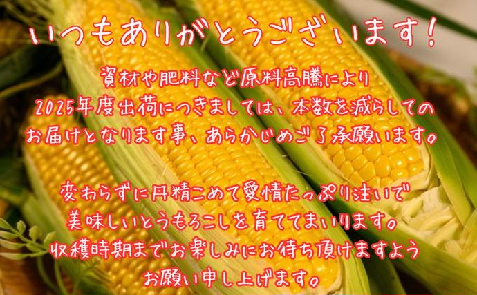 北海道洞爺湖町のふるさと納税 北海道産 とうもろこし 恵味 ゴールド 2L 8本 8月中旬～9月下旬頃お届け 朝採り 恵味 めぐみトウモロコシ スイート コーン 甘い 新鮮 先行受付 夏 野菜 産地直送 塩田農園 送料無料 北海道 洞爺湖町