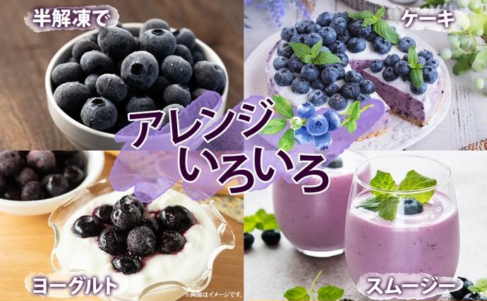 北海道洞爺湖町のふるさと納税 北海道産 ブルーベリー 100g 7袋 果物 果実 くだもの 冷凍食品 おやつ デザート ジュース ヨーグルト ジャム スイーツ 簡単 便利 一人暮らし 小分け 製菓 送料無料 冷凍 北海道 洞爺湖町