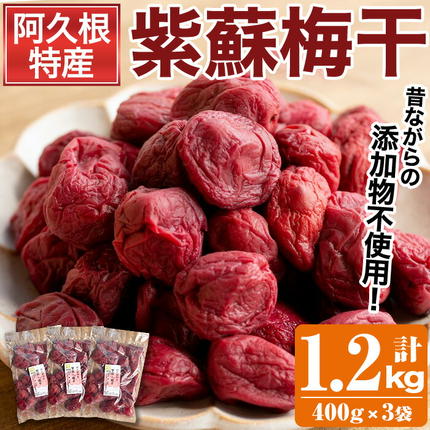 ＜先行予約受付中！2026年7月中旬以降順