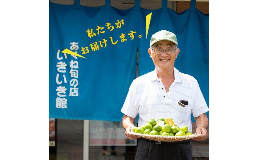 鹿児島県阿久根市のふるさと納税 鹿児島県産梅使用！手作りしそ梅干し(400g×3袋・計1.2kg)国産 ご飯のお供 うめぼし ウメボシ しそ シソ セット 小分け【あくね旬の店いきいき館】akn015-07