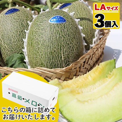 鹿児島県阿久根市のふるさと納税 ＜先行予約受付中！2026年6月以降順次発送予定＞鹿児島県産！南国グリーンメロン(LAサイズ×3個) メロン めろん 果物 スイーツ デザート フルーツ【あくね旬の店いきいき館】akn015-16