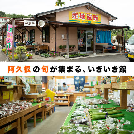 鹿児島県阿久根市のふるさと納税 ＜先行予約受付中！2026年6月以降順次発送予定＞鹿児島県産！南国グリーンメロン(LAサイズ×3個) メロン めろん 果物 スイーツ デザート フルーツ【あくね旬の店いきいき館】akn015-16