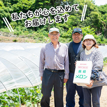 鹿児島県阿久根市のふるさと納税 ＜先行予約受付中！2026年6月以降順次発送予定＞鹿児島県産！南国グリーンメロン(LAサイズ×3個) メロン めろん 果物 スイーツ デザート フルーツ【あくね旬の店いきいき館】akn015-16