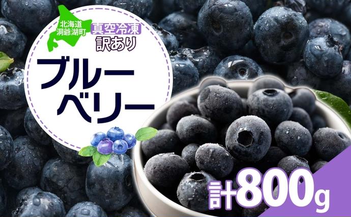 北海道 訳あり ブルーベリー 400g×2