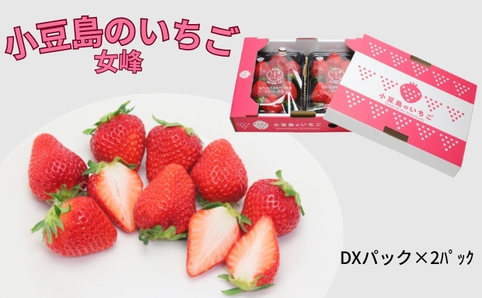 香川県土庄町のふるさと納税 【 小豆島 】【3月からの発送】小豆島のいちご（女峰）DXパック (250g×2パック入り) 果物類 苺 イチゴ