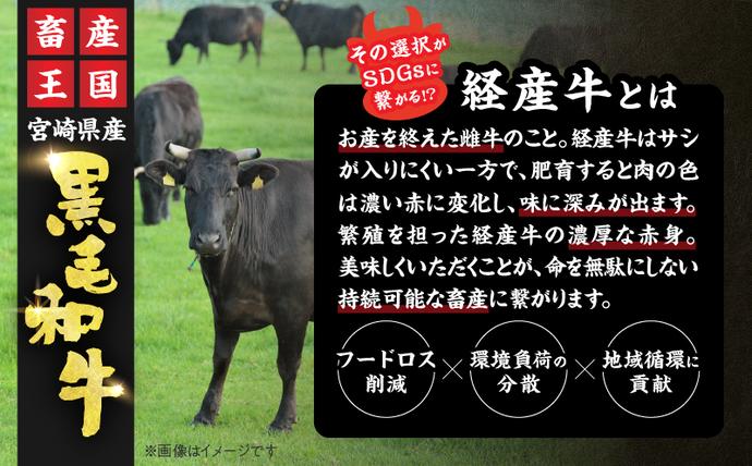 宮崎県日南市のふるさと納税 数量限定 黒毛和牛 ロースステーキ 計800g 肉 牛 牛肉 和牛 国産 ステーキ肉 ビーフ 食品 贅沢 ディナー おかず 晩ご飯 食べ応え 赤身 焼肉 鉄板焼き BBQ バーベキュー おすすめ 小分け ギフト 贈り物 贈答 ご褒美 ミヤチク 冷凍 宮崎県 日南市 送料無料_DC26-25