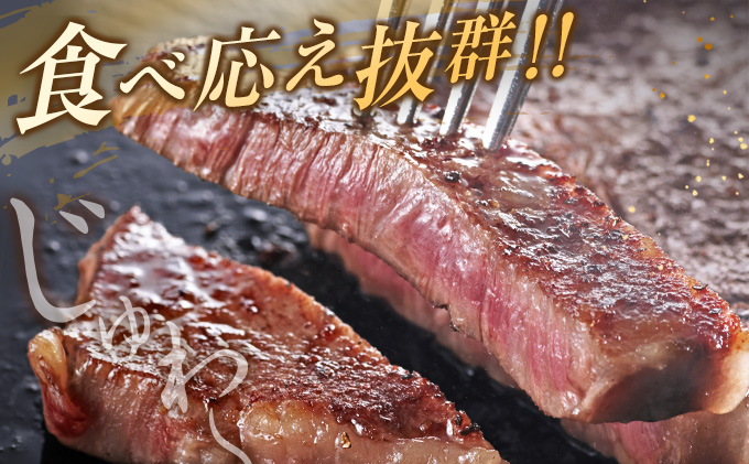 宮崎県日南市のふるさと納税 数量限定 黒毛和牛 ロース ステーキ 計800g 牛肉 国産 ビーフ おすすめ グルメ 食品 贅沢 ディナー おかず 晩ご飯 食べ応え 赤身 焼肉 鉄板焼き BBQ バーベキュー キャンプ グランピング お取り寄せ ミヤチク 宮崎県 日南市 送料無料_DC26-25