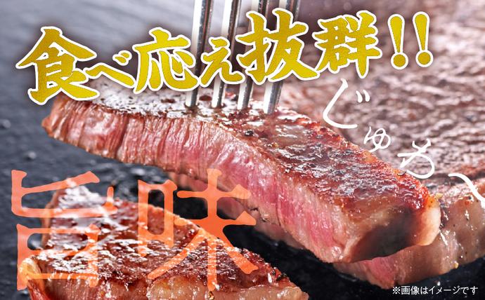 宮崎県日南市のふるさと納税 数量限定 黒毛和牛 ロースステーキ 計800g 肉 牛 牛肉 和牛 国産 ステーキ肉 ビーフ 食品 贅沢 ディナー おかず 晩ご飯 食べ応え 赤身 焼肉 鉄板焼き BBQ バーベキュー おすすめ 小分け ギフト 贈り物 贈答 ご褒美 ミヤチク 冷凍 宮崎県 日南市 送料無料_DC26-25