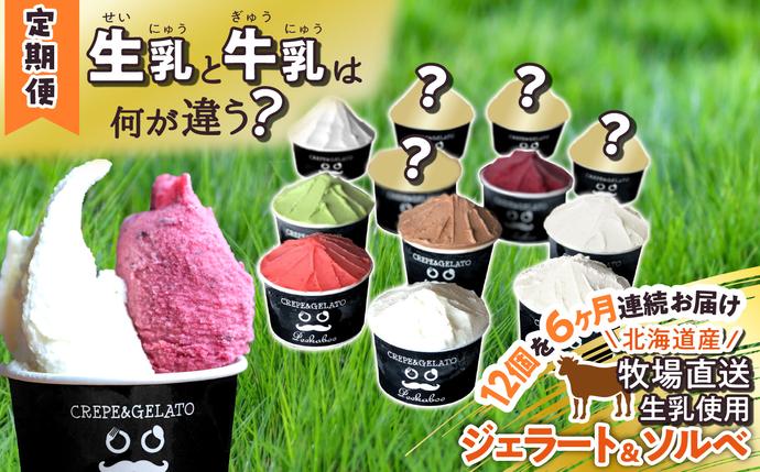 ＜6ヶ月定期便＞北海道産 生乳 ジェラート