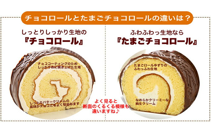 北海道新ひだか町のふるさと納税 見た目も味も昭和レトロ　懐かしチョコロールケーキのペアセット