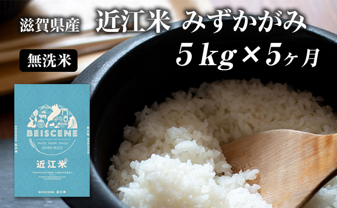 特A受賞歴 定期便 5kg×5ヶ月 みずかがみ 無洗米 令和7年産 近江米 米