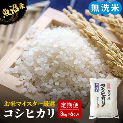 無洗米 定期便 6ヶ月 コシヒカリ 3kg