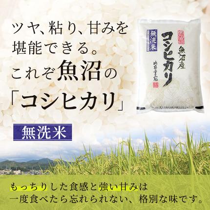 新潟県魚沼市のふるさと納税 無洗米 定期便 6ヶ月 コシヒカリ 3kg 米 白米 お米 魚沼産コシヒカリ 新潟米 新潟 魚沼市 定期 6回
