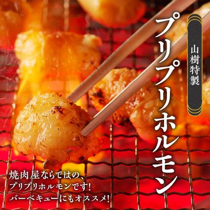 愛知県小牧市のふるさと納税 山樹の国産牛白ころホルモン焼き（丸腸）味付　300g [047R19]