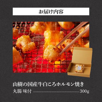 愛知県小牧市のふるさと納税 山樹の国産牛白ころホルモン焼き（丸腸）味付　300g [047R19]