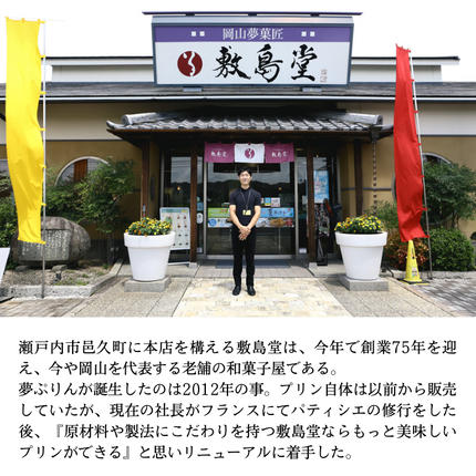 岡山県瀬戸内市のふるさと納税 プリン 敷島堂 夢ぷりん 6本入 スイーツ お菓子 蒜山ジャージー牛乳 濃厚プリン なめらかプリン おやつ お取り寄せ 土産