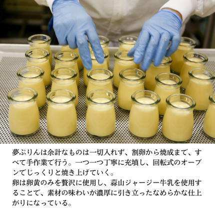 岡山県瀬戸内市のふるさと納税 プリン 敷島堂 夢ぷりん 6本入 スイーツ お菓子 蒜山ジャージー牛乳 濃厚プリン なめらかプリン おやつ お取り寄せ 土産