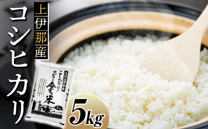 長野県箕輪町のふるさと納税 米 コシヒカリ 5kg 長野 上伊那産 お米 長野県産 こしひかり 5キロ 白米 精米 信州産 特産 産地直送 おすすめ こめ コメ おこめ 送料無料 長野県 箕輪町