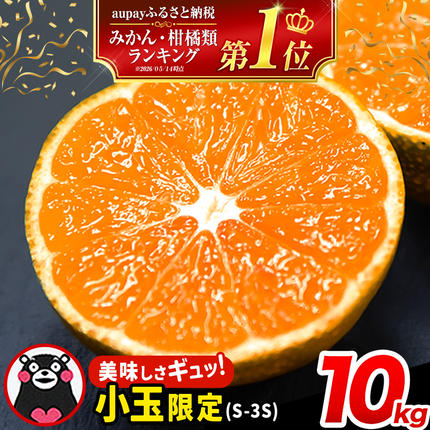 みかん 訳あり くまもと小玉みかん 10kg (10kg×1箱) 秋 旬 先行予約 ちょっと訳あり 不揃い 傷 ご家庭用 SDGs 小玉 たっぷり 熊本県 産 S-3Sサイズ フルーツ 旬 柑橘 長洲町 温州みかん[9月下旬-12月下旬頃出荷]