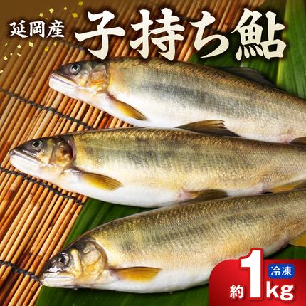 [冷凍]子持ち鮎 約1kg N070-YA5530-2