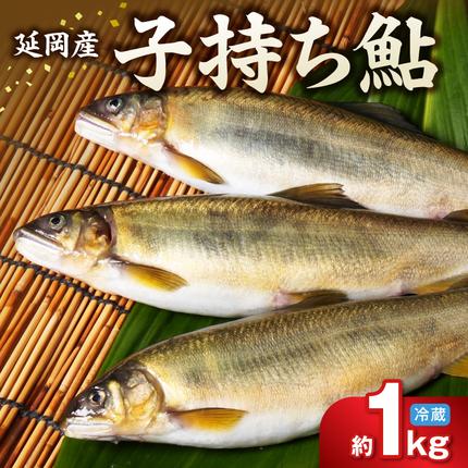 [先行予約]2026年10月下旬より発送開始[冷蔵]子持ち鮎 約1kg N070-YA5530-1
