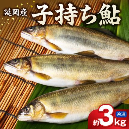 [冷凍]子持ち鮎 約3kg N070-YD0265-2