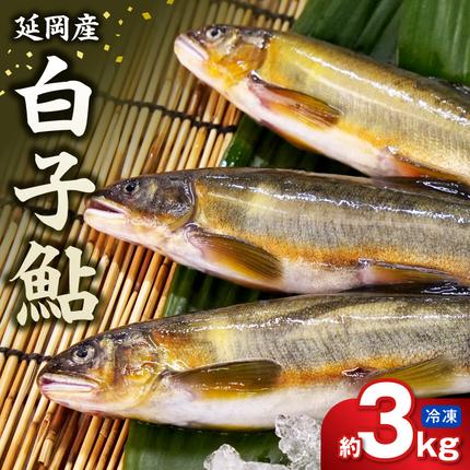 [冷凍]白子鮎 約3kg N070-YC426-2
