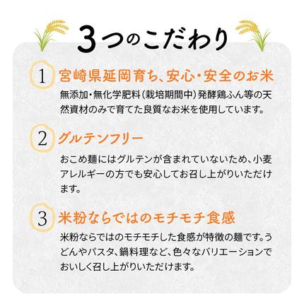 宮崎県延岡市のふるさと納税 【グルテンフリー】無添加おこめ麺・玄米麺食べ比べセット計100g×6袋 N0107-YA059