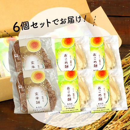 宮崎県延岡市のふるさと納税 【グルテンフリー】無添加おこめ麺・玄米麺食べ比べセット計100g×6袋 N0107-YA059