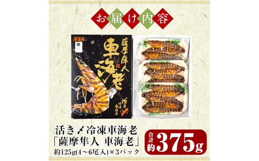 鹿児島県霧島市のふるさと納税 B-014 活き〆冷凍車海老「薩摩隼人車海老」合計約375g(約125g×3パック)【MBC開発】