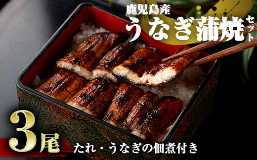 鹿児島県霧島市のふるさと納税 D-037 鹿児島産うなぎ蒲焼セット【うなぎの尾方】